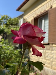 �������� ������� � ������ ��.������� ���� 86
