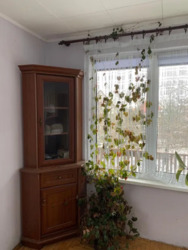 Продається будинок Шахтарів, Ужгород, Закарпатська, Шахта фото 11 Продається будинок Шахтарів, Ужгород, Закарпатська, Шахта фото 11