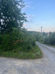 Продається будинок Шахтарів, Ужгород, Закарпатська, Шахта фото 7 Продається будинок Шахтарів, Ужгород, Закарпатська, Шахта фото 7
