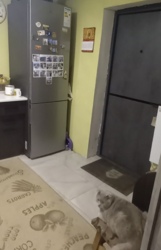 ������ ������� � ��������� ���� 12