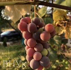 ��������� ������� � ����������� ��������� ���� 18