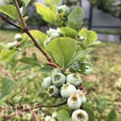 ��������� ������� � ����������� ��������� ���� 17