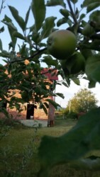 ��������� ������� �������, ������������ ���� 3