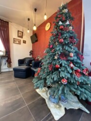 ��������� ������� ����, ��������� ���� 1