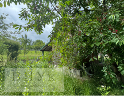 ������ ���� � ϳ����������� ���� 9