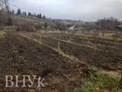 ������ ������� 80 �² � ������������ �� �����. 10 �� �� ������ (26 ���) ���� 21