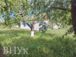 Продам затишний доглянутий будинок в с. Суськ Луцького району фото 3 Продам затишний доглянутий будинок в с. Суськ Луцького району фото 3