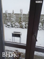 ������ ������� ������� ���� 19