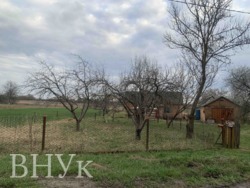 ������ ������� � ��������� ������� 25 ��� ���� 1