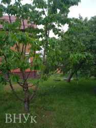 ��������� �������� ������� ��� ����� ������ ���� 14