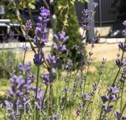 ��������� ������� � ����������� ��������� ���� 20