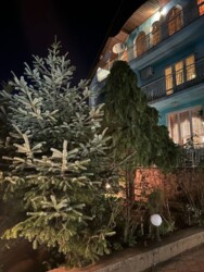 ��������� ������� �������, ������������ ���� 4