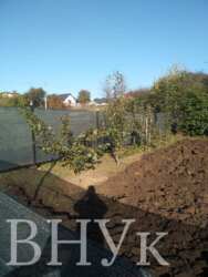 ������ ������������� ������� � ������� ���� 25