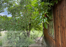 ������ ���� � ϳ����������� ���� 3