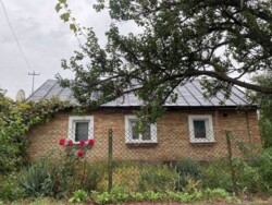 ��������� ������� ����, ��������� ���� 1