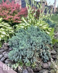 ������� ���� �� � ��������! ������������� ������, Smart House �� 355000 $ 💎 ���� 7