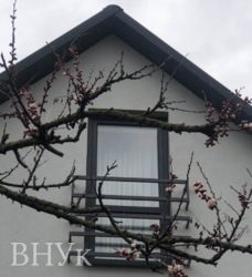 ��������� ������� � ����������� ��������� ���� 14