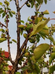 ��������� ������� �������, ������������ ���� 6