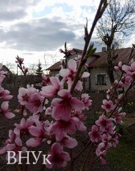 ��������� ������� ��� ������� � ������ �����������, ���, ������� ����! ���� 5