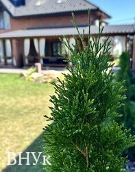 ������� ���� �� � ��������! ������������� ������, Smart House �� 355000 $ 💎 ���� 10