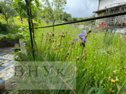 ������ ���� � ϳ����������� ���� 7