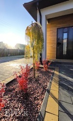 ������ ������� � ������� �� ����������� ���� 19