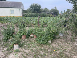 Продається будинок Волинська, Луцк фото 7 Продається будинок Волинська, Луцк фото 7