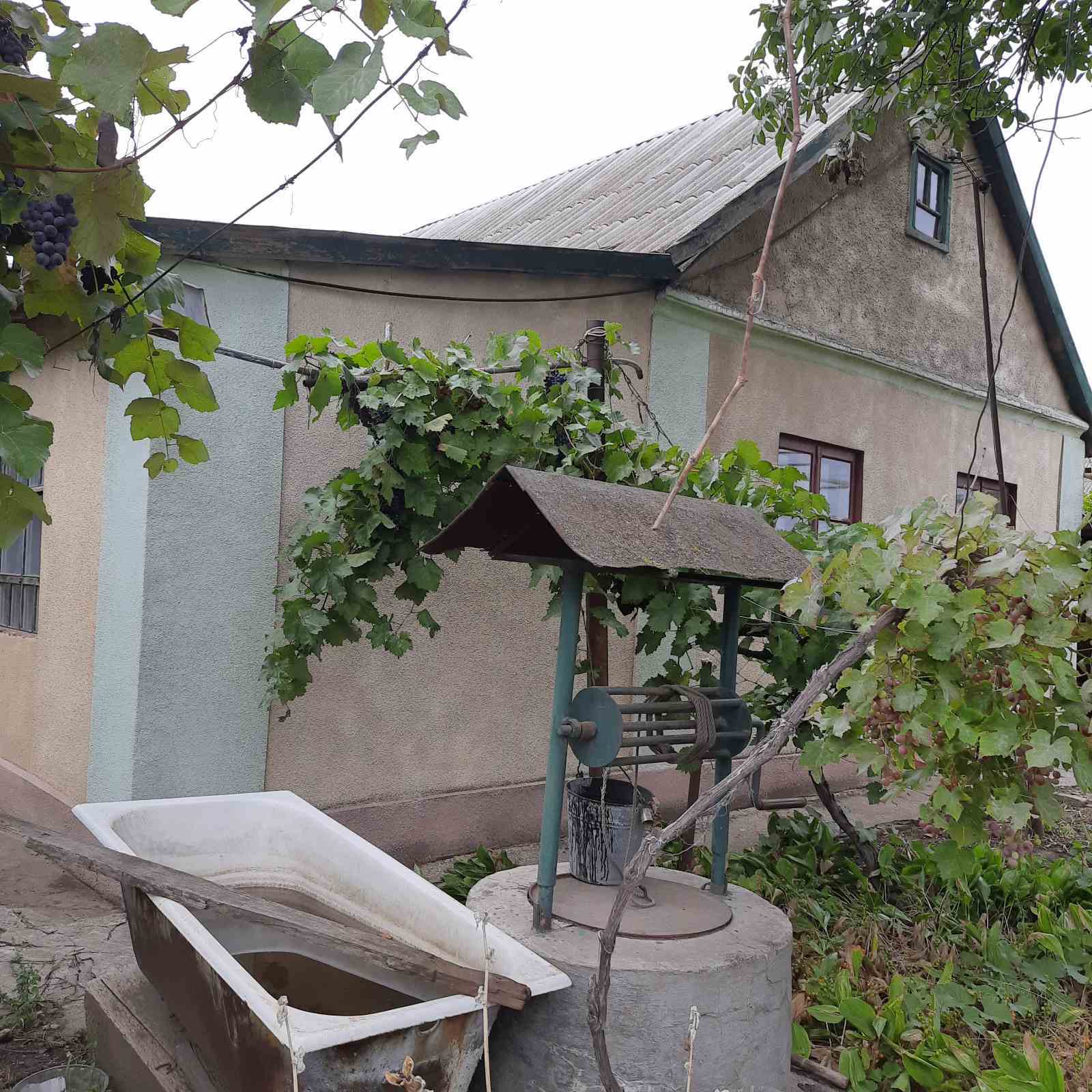 ��� � ������������� ���� 1