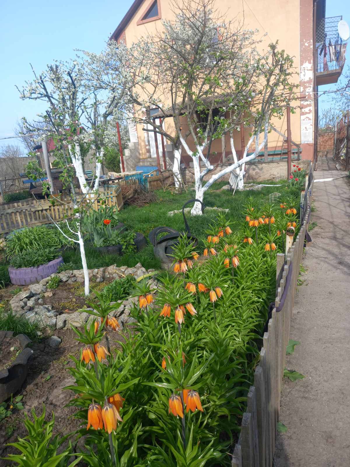 � ������� 2������� � ��� '�����������' ���� 1