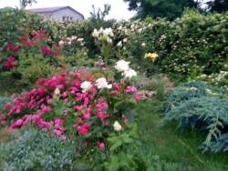 Капітальний будинок у передмісті Чорноморська фото 9 Капітальний будинок у передмісті Чорноморська фото 9