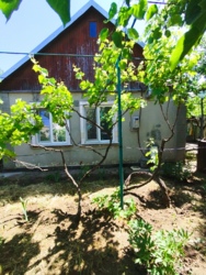 ��� ������������� ���� 6