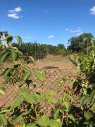 Продам будинок в Олександрівці фото 13 Продам будинок в Олександрівці фото 13