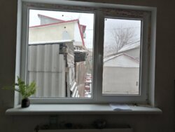 ������� ���� 13