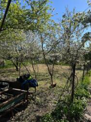 Будинок в СТ Хвиля фото 19 Будинок в СТ Хвиля фото 19