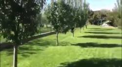 �������� ������� ���� 3