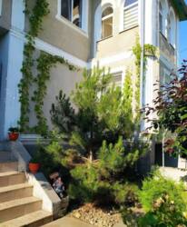 ��������� ��������� ������� � ���� ����������� ���� 1