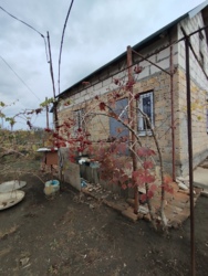 Дом на Ветеране фото 8 Дом на Ветеране фото 8