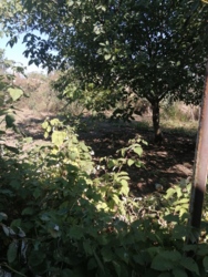 ��� � ������������� ���� 16