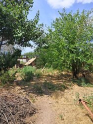 ������� �� �� '�����' ���� 7