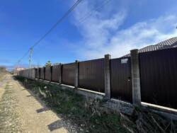 ��� -���� � ������� �������� ���� ���� 10