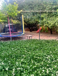 ������� ���� 15