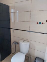 ������ ����� ��� � �������� ��������������� ���� 15