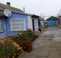 ������� ���� 5