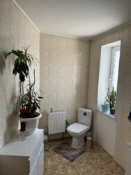 ������� � ������������ ���� 15