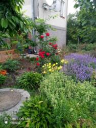 Капітальний будинок у передмісті Чорноморська фото 5 Капітальний будинок у передмісті Чорноморська фото 5