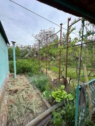 � ������� ���� ��� ����� ���� 3