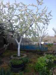 � ������� 2������� � ��� '�����������' ���� 2