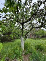 � ������� ���� ��� ����� ���� 11