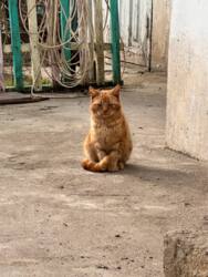 ������ ������ ������� ����������� ��� ���������� ������� �� ���� 18