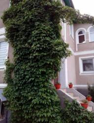 ��������� ��������� ������� � ���� ����������� ���� 4